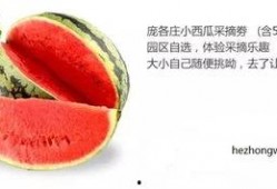 娱乐吃瓜固定模版如何做