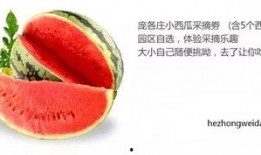 娱乐吃瓜固定模版如何做