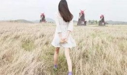 娱乐吃瓜酱背影,背后的故事与魅力