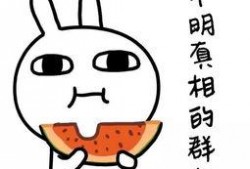 娱乐吃瓜酱找工作,跨界求职，开启新篇章