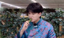 娱乐吃瓜刘宇宁视频大全,笑料百出，精彩纷呈