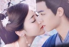 吃瓜小说娱乐圈完结文,瓜田里的甜蜜复仇