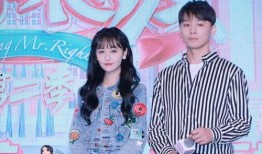 娱乐圈718吃瓜网地址,揭秘明星幕后故事，带你领略娱乐圈风云变幻