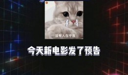 娱乐直播吃瓜,吃瓜群众围观娱乐直播盛宴