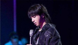 娱乐吃瓜华晨宇是谁,娱乐吃瓜界的风云人物