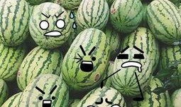 娱乐吃瓜固定模版如何做