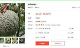 吃瓜娱乐圈国际章节目录,揭秘跨国明星们的精彩故事