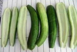 娱乐吃瓜酱浙江,揭秘浙江娱乐圈的那些事儿