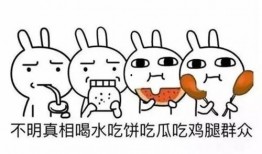 吃瓜群众英文短语