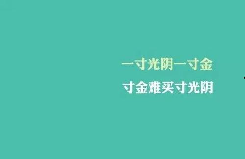 娱乐吃瓜酱励志语录短句,短句汇聚正能量