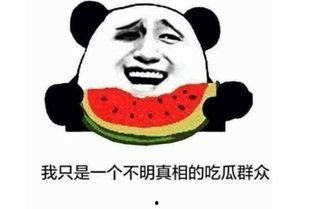 吃瓜看戏含义什么意思,揭秘娱乐圈幕后风云